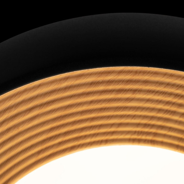 Потолочный светильник LOFT IT 10255/350 Black