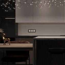 Выключатель Werkel W4522001