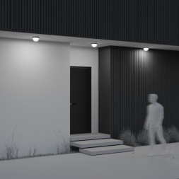 Накладной уличный светильник Maytoni MON O438CL-L12GF3K