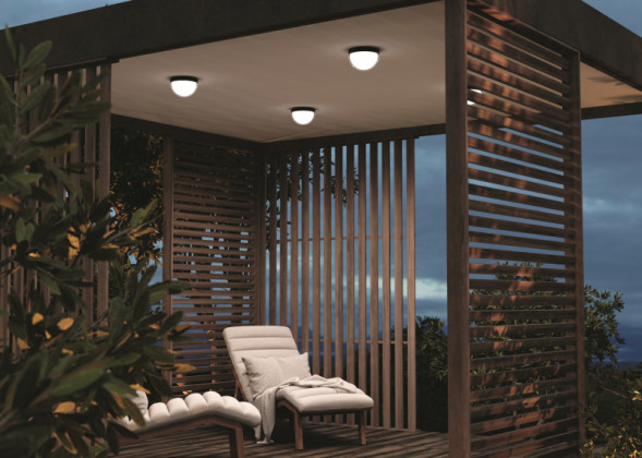 Накладной уличный светильник Maytoni MON O438CL-L12GF3K