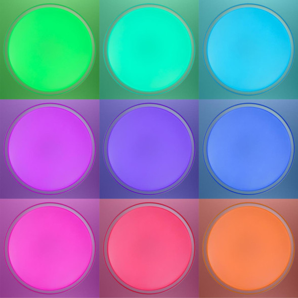 Потолочный светильник Citilux BOSS CL751450G