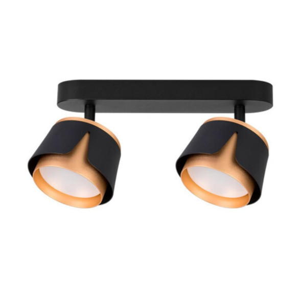 Спот ARTE Lamp A8028PL-2BK AMAKS