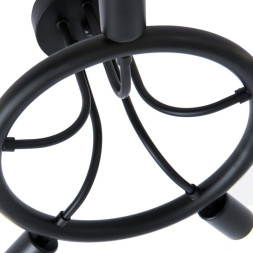 Потолочный светильник ARTE Lamp HIGHGARDEN A6063PL-5BK