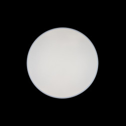 Потолочный светильник LOFT IT AXEL 10002/48 White