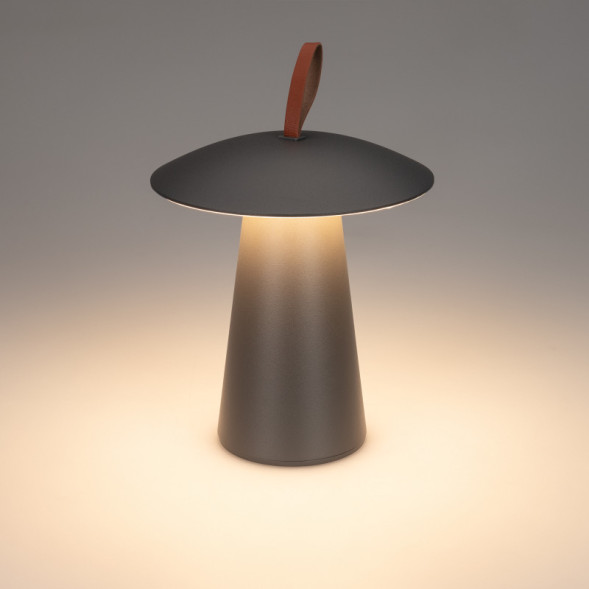 Уличный светильник Arlight Patio 031628