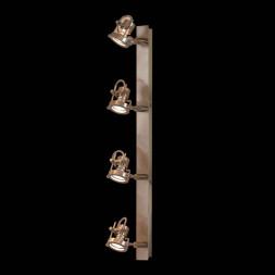 Спот Citilux Терминатор CL515541