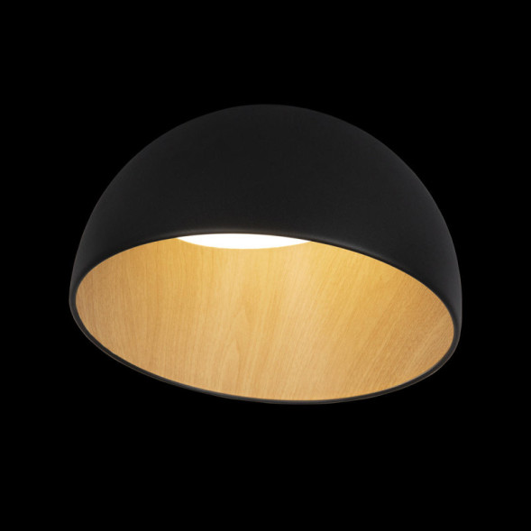 Потолочный светильник LOFT IT EGG 10197/350 Black