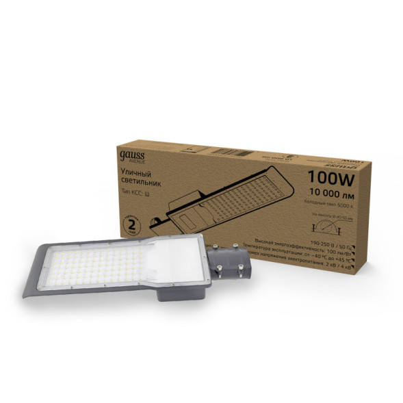 Консольный светильник Gauss 629534300 AVENUE