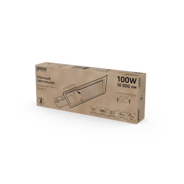 Консольный светильник Gauss 629534300 AVENUE