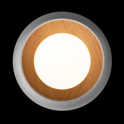 Потолочный светильник LOFT IT 10255/350 White