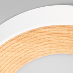 Потолочный светильник LOFT IT 10255/350 White