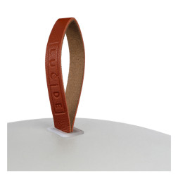 Уличный светильник LUCIDE LA DONNA 27500/02/31