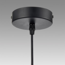 Подвесная люстра LUMION LAUNA 8043/1