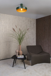 Потолочный светильник LUCIDE CARDIFF 30187/40/33