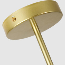 Потолочный светильник ImperiumLoft 191909-26