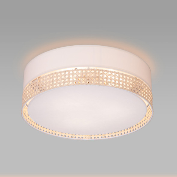 Потолочная люстра TK Lighting 6690