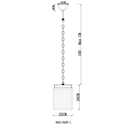 Подвесной светильник Divinare NOVA 3001/02 SP-1