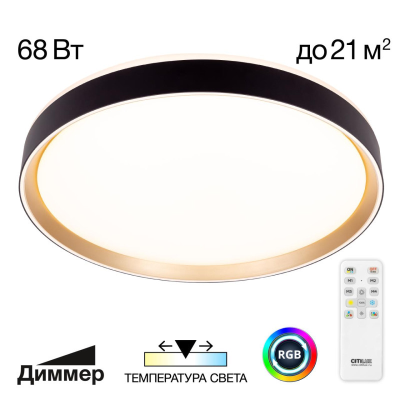 Потолочный светильник Citilux BOSS CL751451G