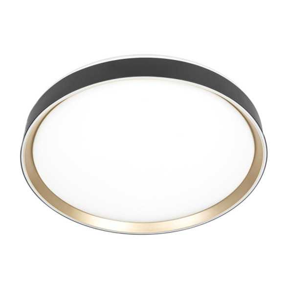 Потолочный светильник Citilux BOSS CL751451G