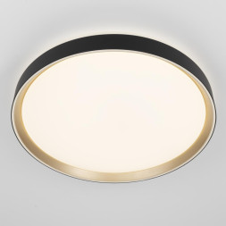 Потолочный светильник Citilux BOSS CL751451G