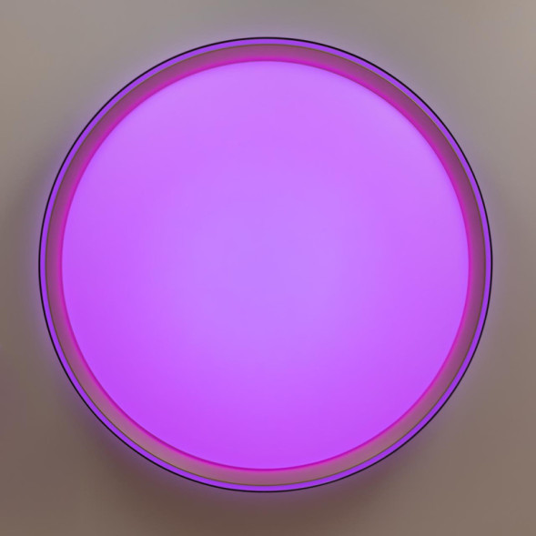 Потолочный светильник Citilux BOSS CL751451G