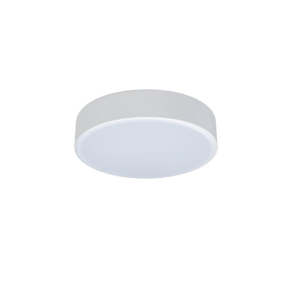Потолочный светильник LOFT IT AXEL 10002/12 White