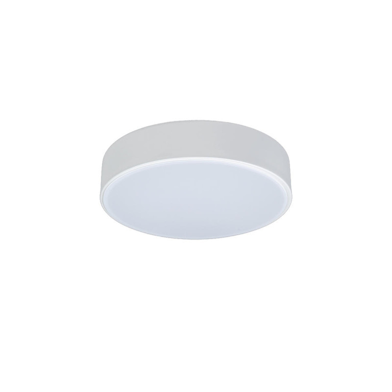 Потолочный светильник LOFT IT AXEL 10002/12 White