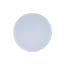 Потолочный светильник LOFT IT AXEL 10002/12 White