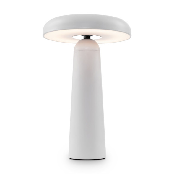 Настольная лампа Freya FR6109TL-L4W Mushroom