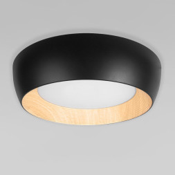 Потолочный светильник LOFT IT 10255/500 Black