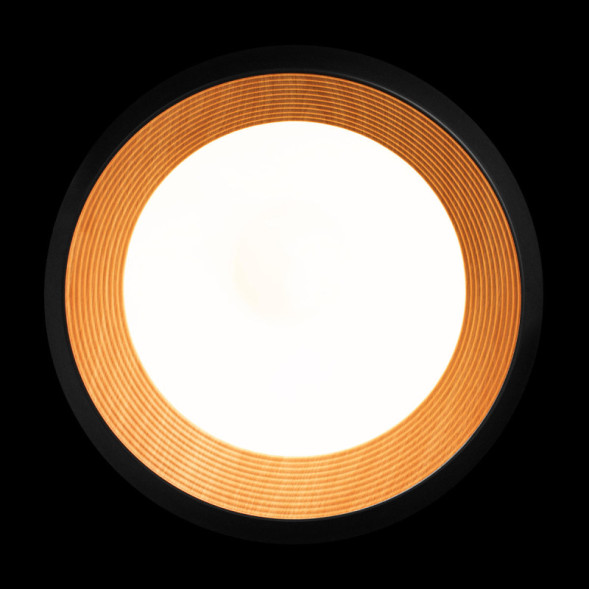 Потолочный светильник LOFT IT 10255/500 Black