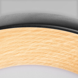 Потолочный светильник LOFT IT 10255/500 Black