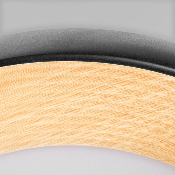 Потолочный светильник LOFT IT 10255/500 Black