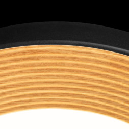 Потолочный светильник LOFT IT 10255/500 Black