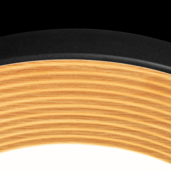 Потолочный светильник LOFT IT 10255/500 Black