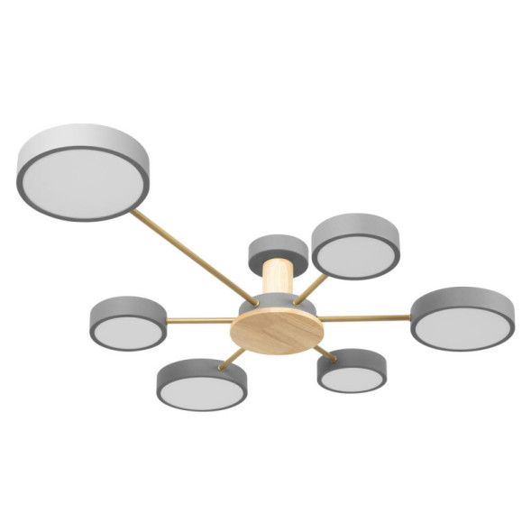 Потолочный светильник LOFT IT 10316/6 Grey
