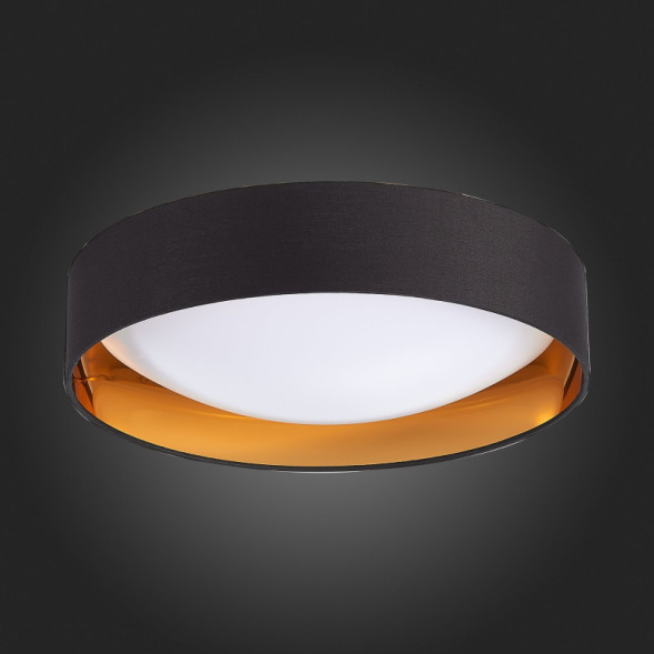 Потолочный светильник Evoluce ORBIO SLE201102-01