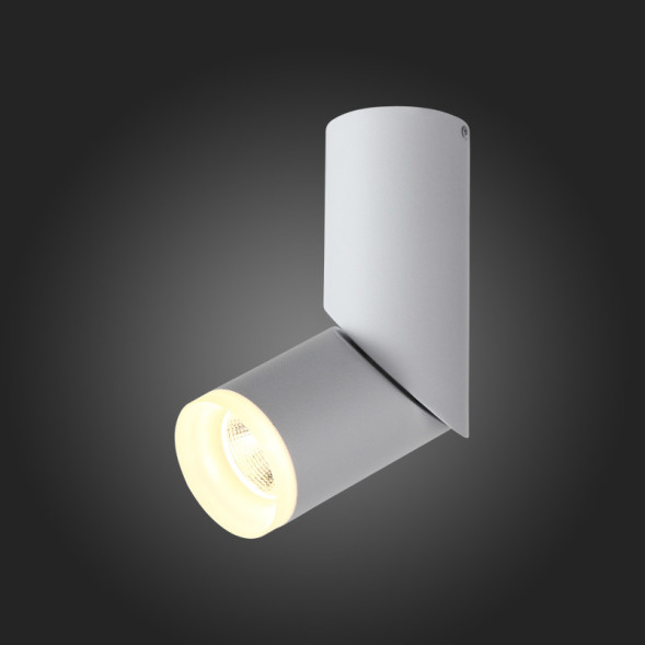 Спот ST-Luce TORTELLE ST107.502.10