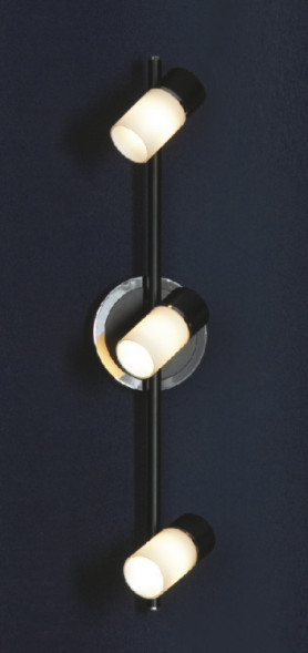 Спот Lussole Siliqua LSQ-6101-03