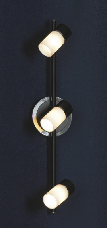 Спот Lussole Siliqua LSQ-6101-03