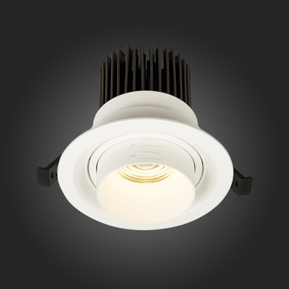 Встраиваемый точечный светильник ST-Luce ZOOM ST701.538.12