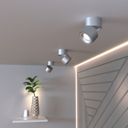 Накладной точечный светильник Elektrostandard DLR031 15W 4200K 3100 серебро матовый