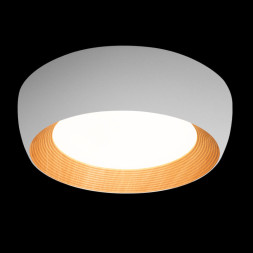 Потолочный светильник LOFT IT 10255/500 White