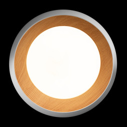 Потолочный светильник LOFT IT 10255/500 White