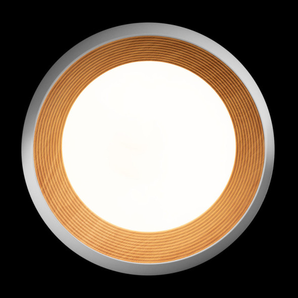 Потолочный светильник LOFT IT 10255/500 White