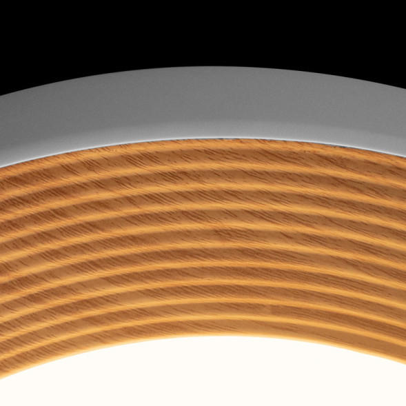 Потолочный светильник LOFT IT 10255/500 White