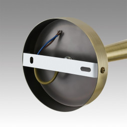 Люстра на штанге LUMION DOLIANA 6584/6C