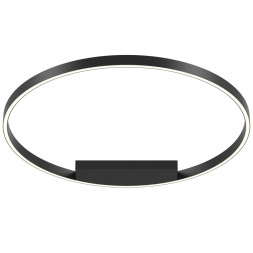 Потолочный светильник Maytoni Rim MOD058CL-L50BK