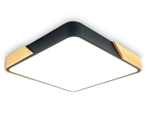 Потолочный светильник Ambrella Light FZ1316