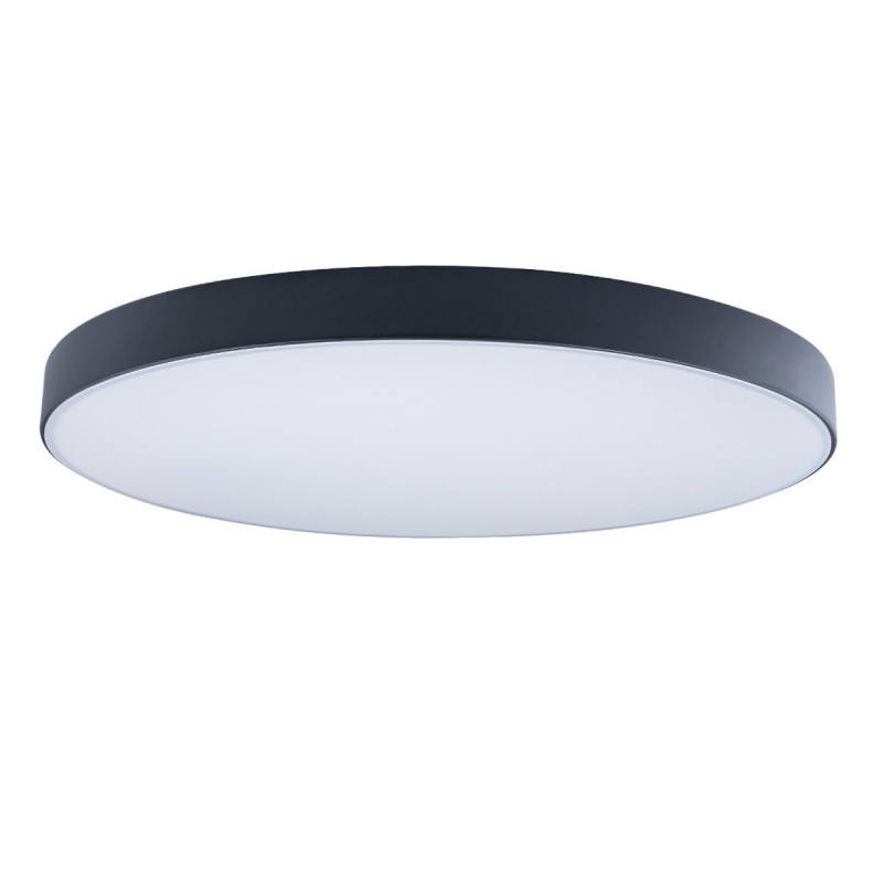 Потолочный светильник LOFT IT AXEL 10002/48 Black